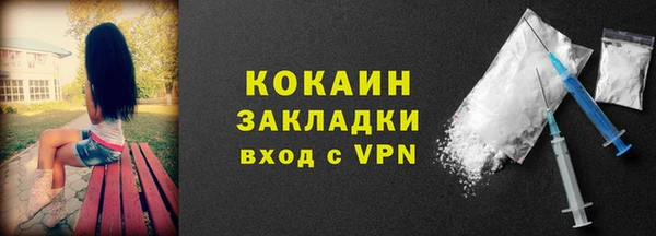 амф Бородино
