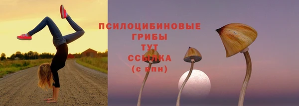 дистиллят марихуана Богданович