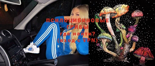 мяу мяу мука Снежногорск