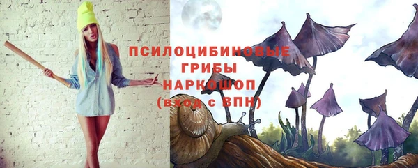 a pvp Богородск