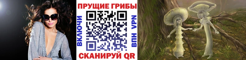 Галлюциногенные грибы прущие грибы  Купить закладки  Мензелинск 